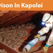 ALCAL Home Specialty Contracting Kapolei
